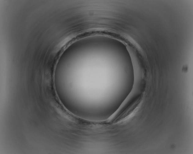 X0000092290969200709281302