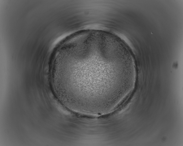 X0000092290971200709281302