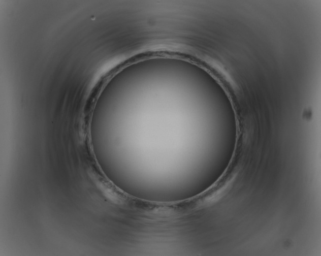 X0000092290974200709281302