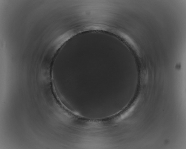 X0000092290977200709281302