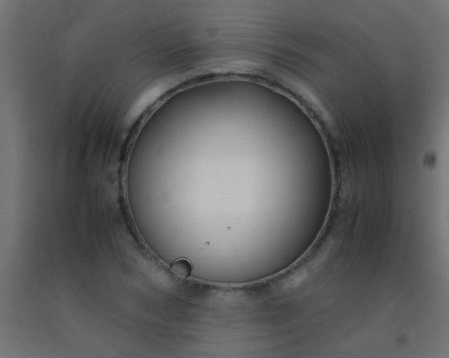 X0000092290978200709281302