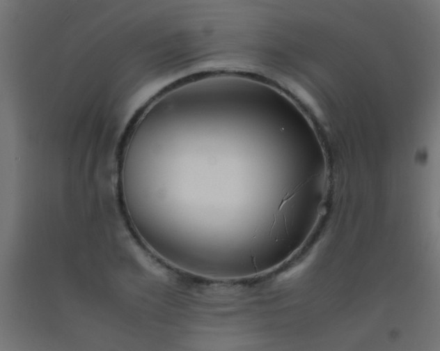 X0000092290981200709281302