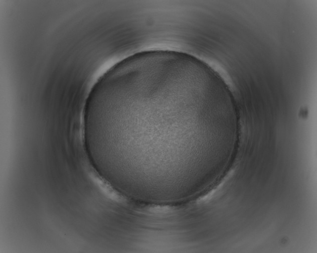 X0000092290982200709281302