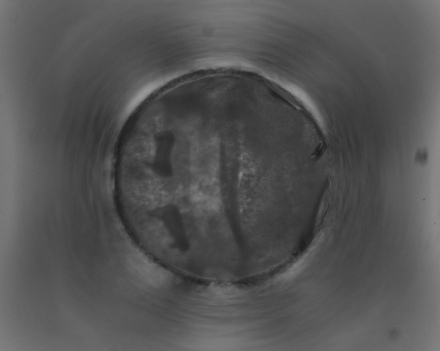 X0000092290983200709281302