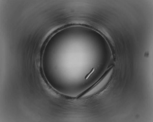 X0000092290984200709281302