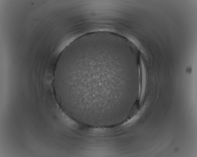 X0000092290985200709281302