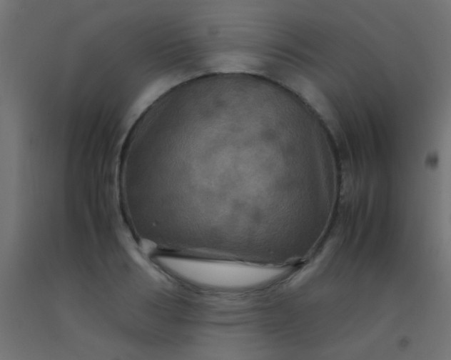 X0000092290986200709281302