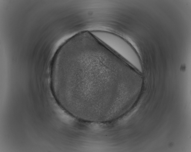 X0000092290987200709281302