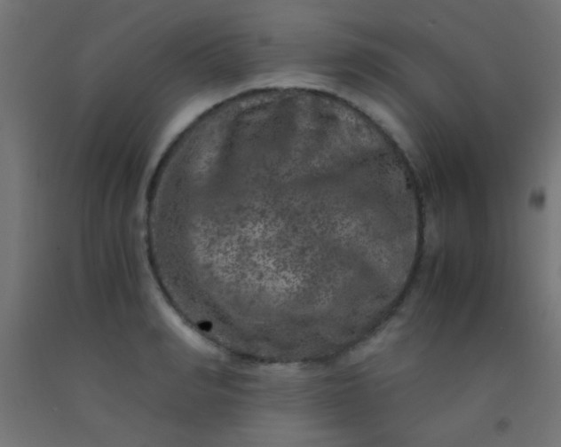 X0000092290990200709281302