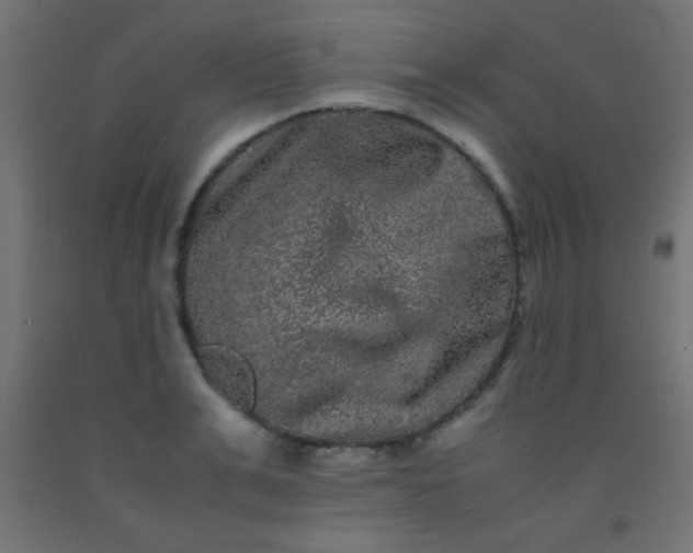 X0000092290991200709281302