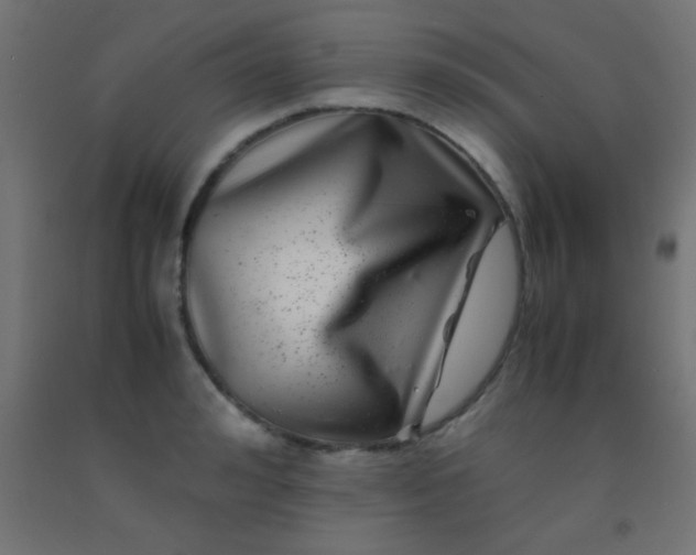 X0000092290992200709281302