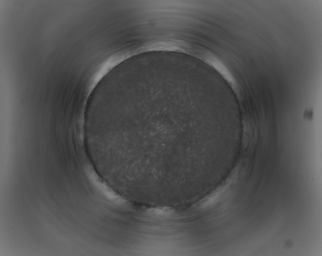 X0000092290994200709281302