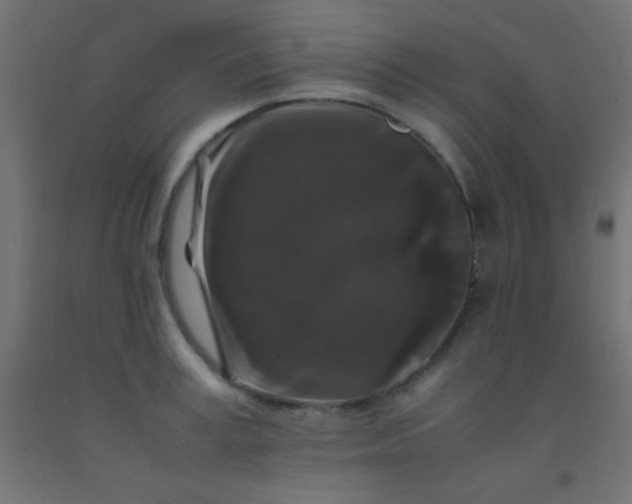 X0000092290995200709281302