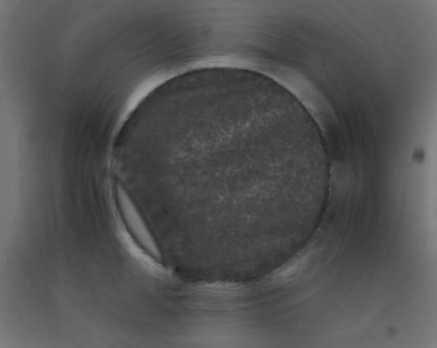 X0000092290998200709281302