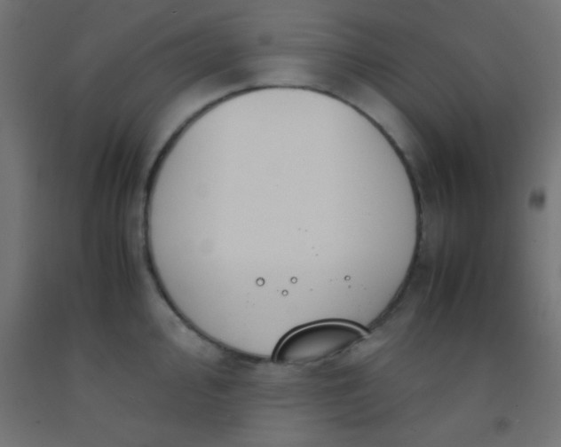 X0000092291000200709281302