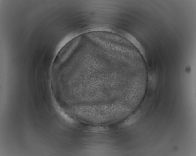 X0000092291002200709281302