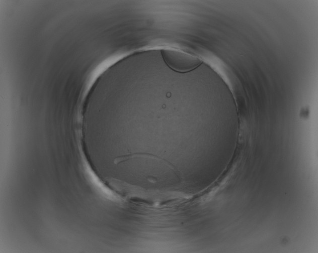 X0000092291003200709281302