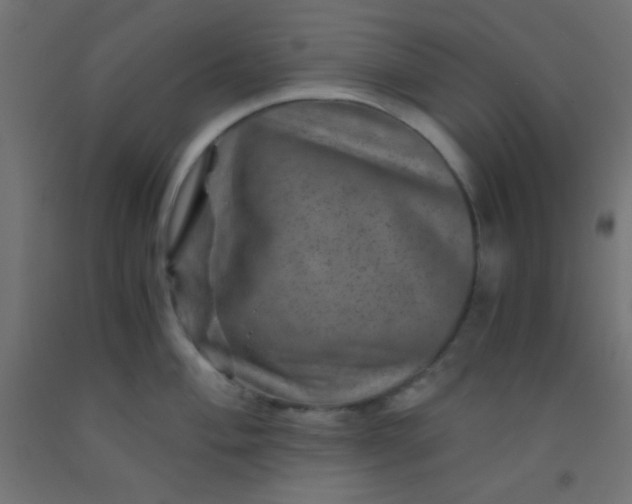 X0000092291004200709281302