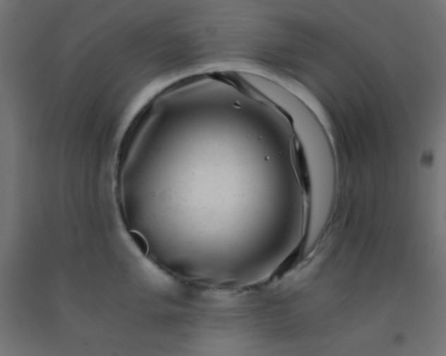 X0000092291005200709281302