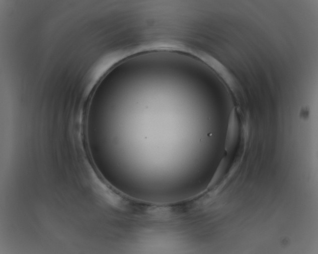 X0000092291006200709281302