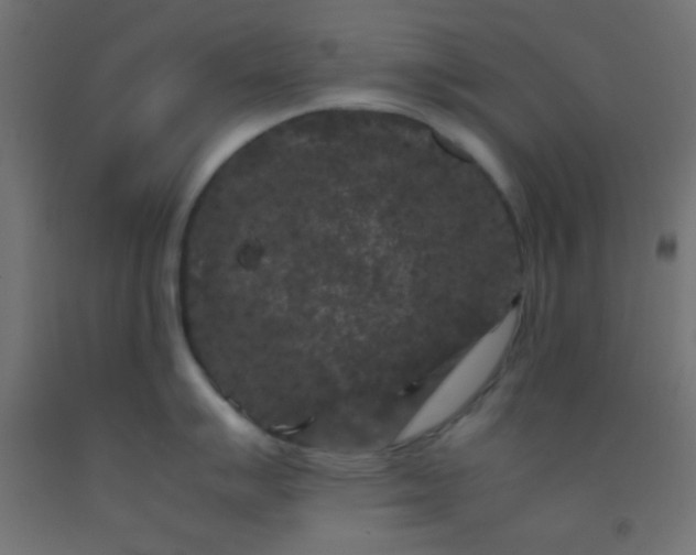 X0000092291007200709281302