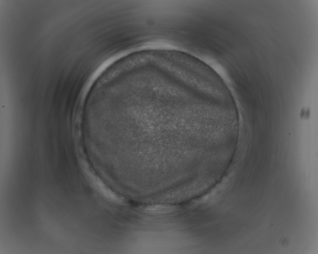 X0000092291008200709281302