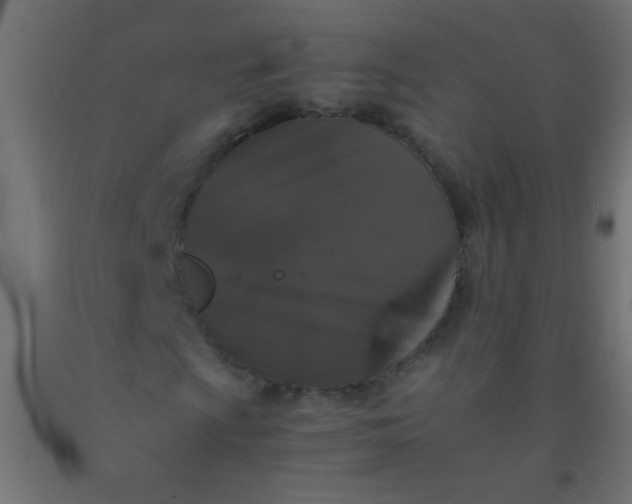 X0000092291009200709281301