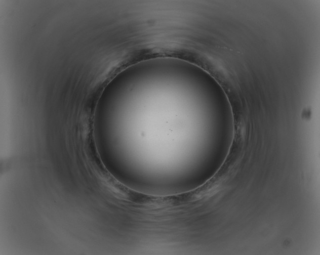 X0000092291012200709281301