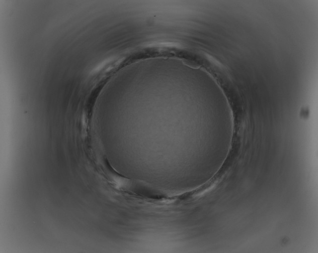 X0000092291014200709281301