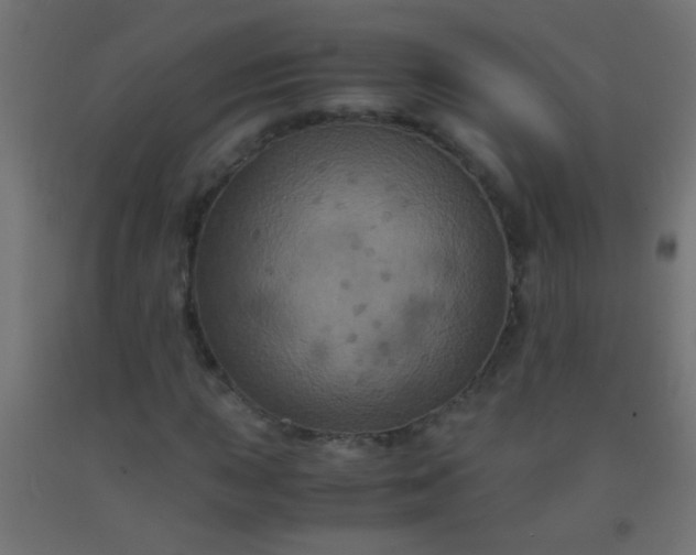 X0000092291015200709281301