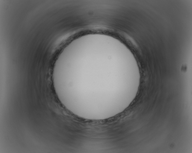 X0000092291016200709281301