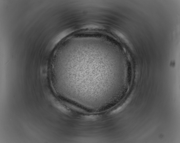 X0000092291017200709281301