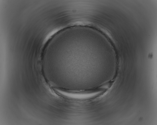 X0000092291018200709281301