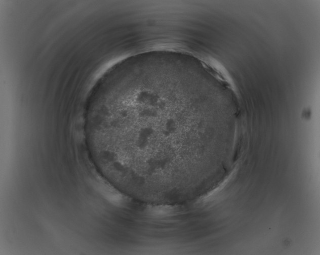 X0000092291019200709281301