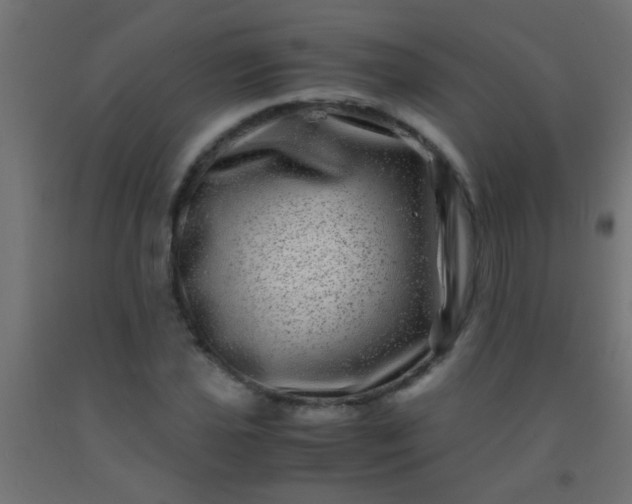 X0000092291021200709281302