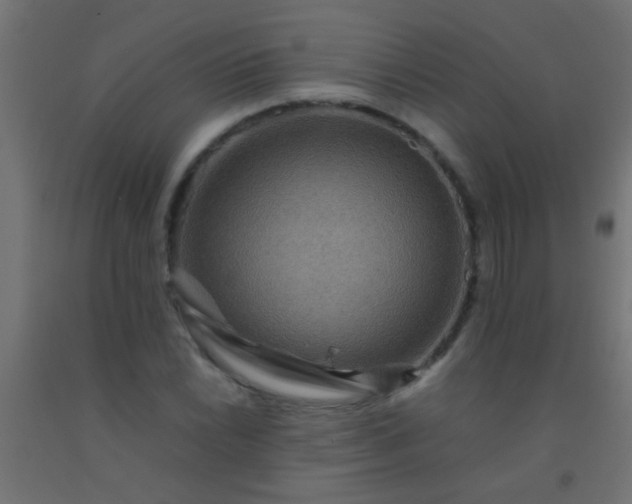 X0000092291022200709281302