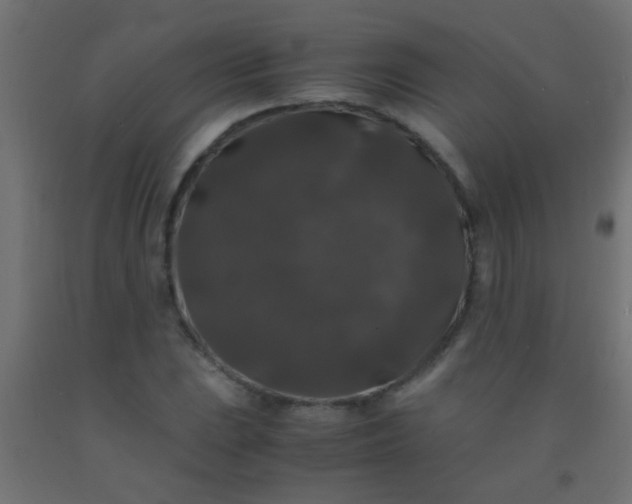 X0000092291023200709281302