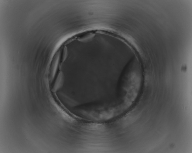 X0000092291024200709281302