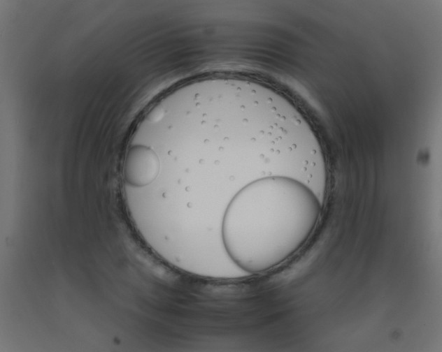 X0000092291025200709281302