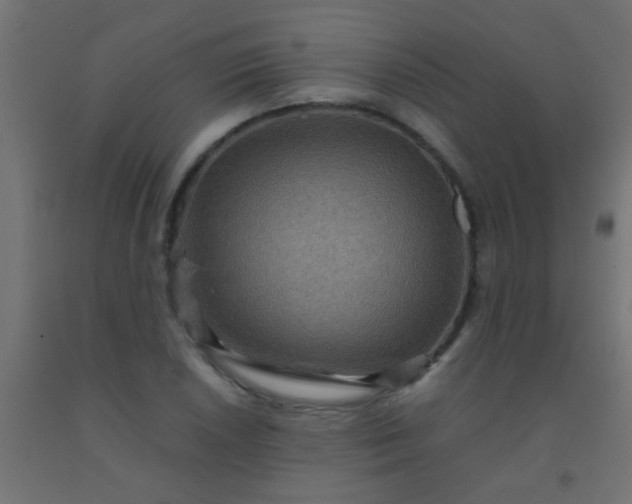 X0000092291026200709281302