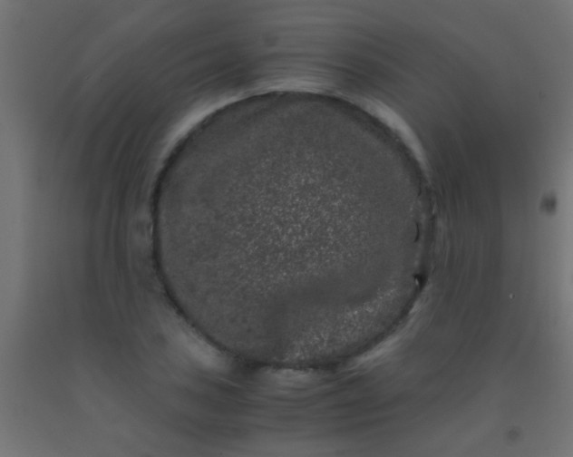 X0000092291027200709281302