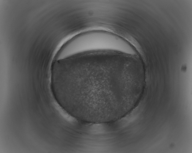 X0000092291028200709281302