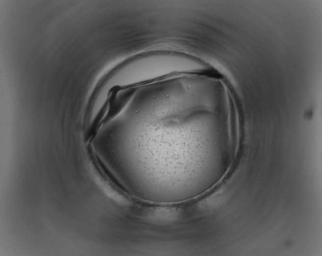 X0000092291029200709281302