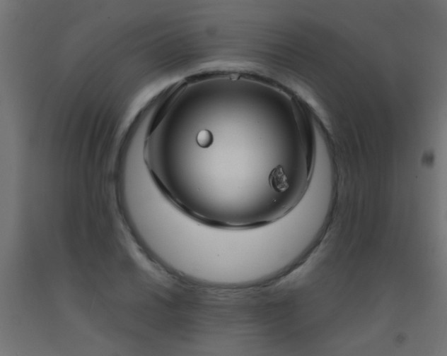 X0000092291030200709281302