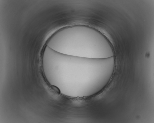 X0000092291031200709281302