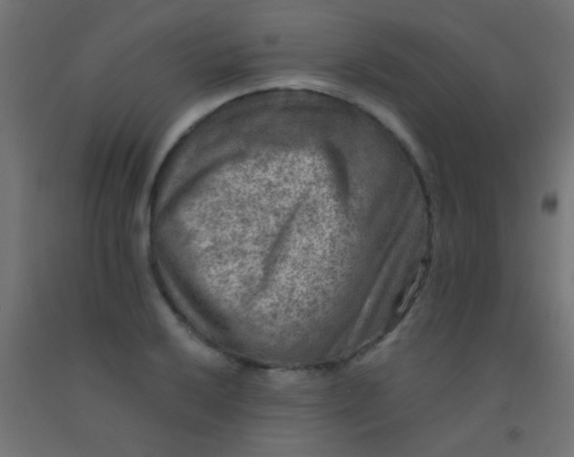 X0000092291032200709281302