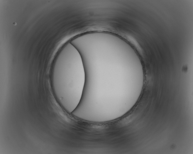 X0000092291035200709281302