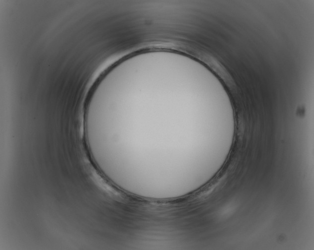 X0000092291036200709281302