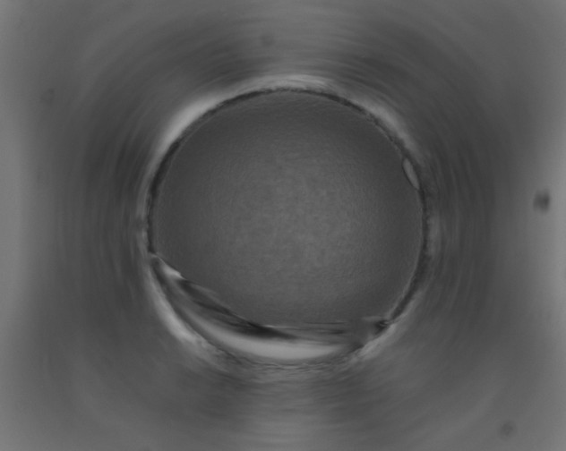 X0000092291038200709281302