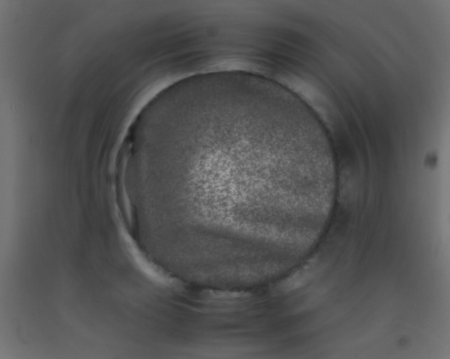 X0000092291039200709281302